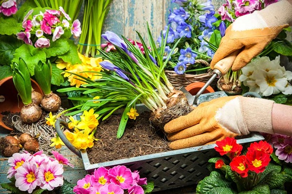 خرید بهترین ابزار باغبانی
